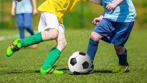 巅峰国际 产品 062230 fyt