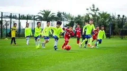 巅峰国际 产品 124043 o98