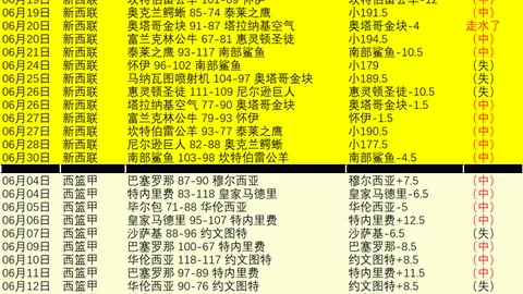 巅峰国际 110053 5